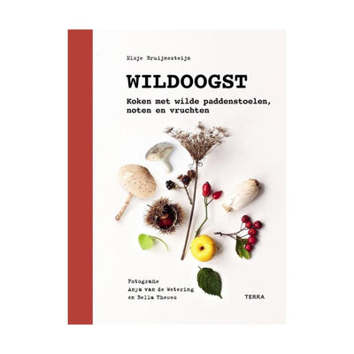 Wildoogst - Studio Play