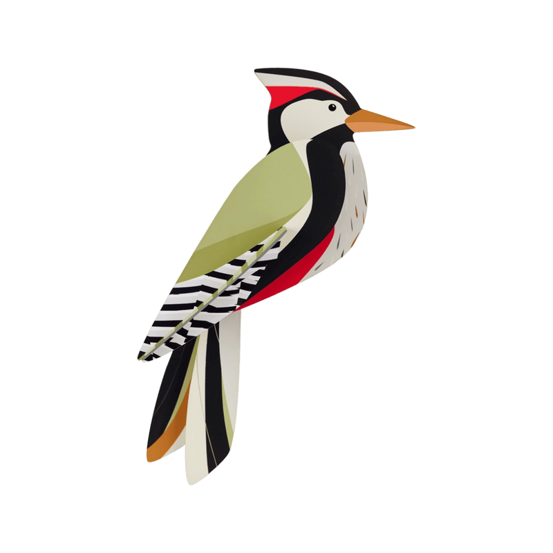 Studio Roof Woodpecker