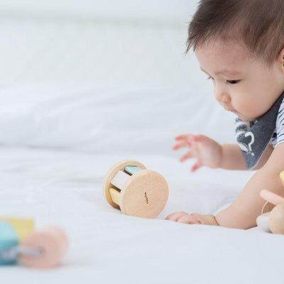 Plantoys Rammelaar Roller Pastel