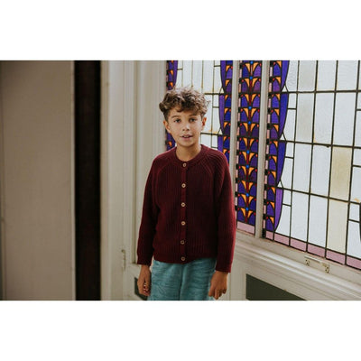 Yuki Baby Raglan Cardigan Plum - Studio Play