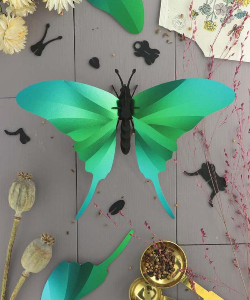 Assembli Groene Swordtail Vlinder