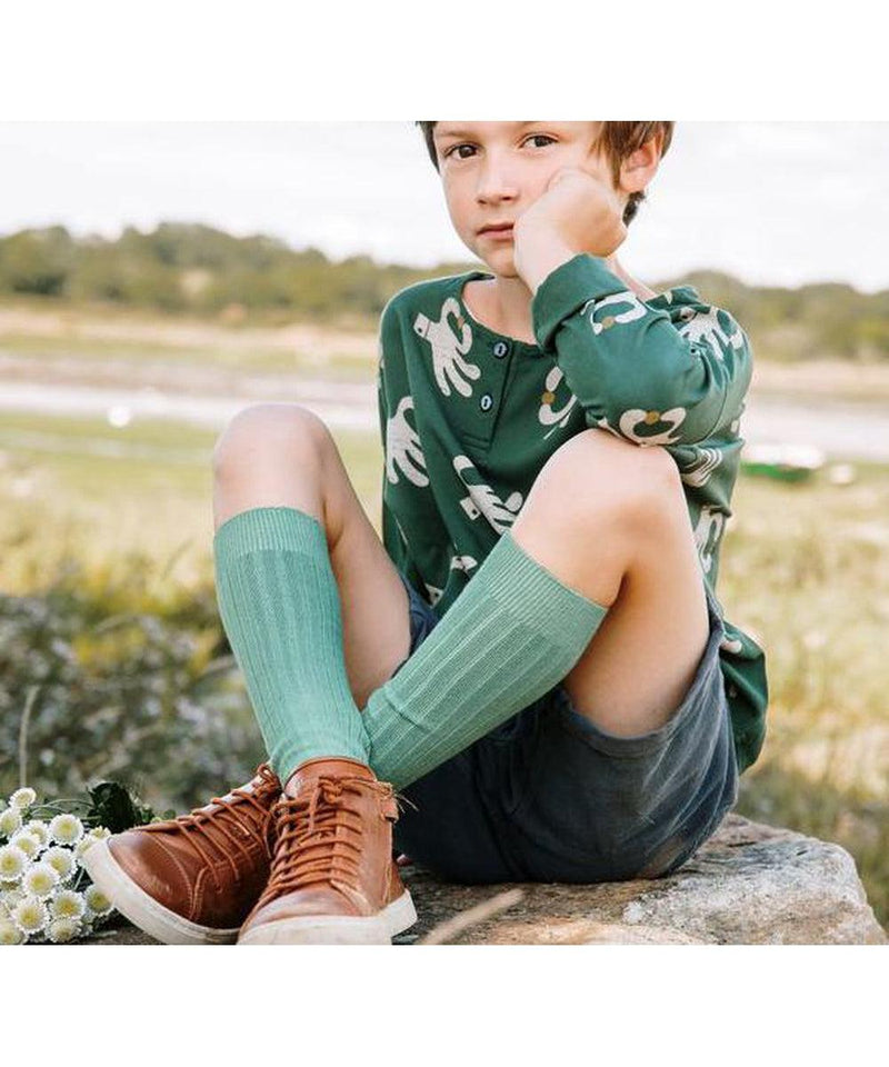 Collégien La Haute Ribbed Knee-High Socks Céladon