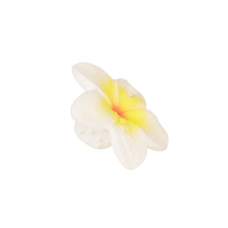 Oli & Carol Bijtspeeltje Hawaii The Flower - Studio Play